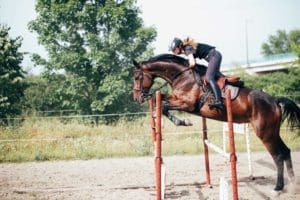 female-jockey-on-horse-leaping-over-hurdle-EVXKL28.jpg